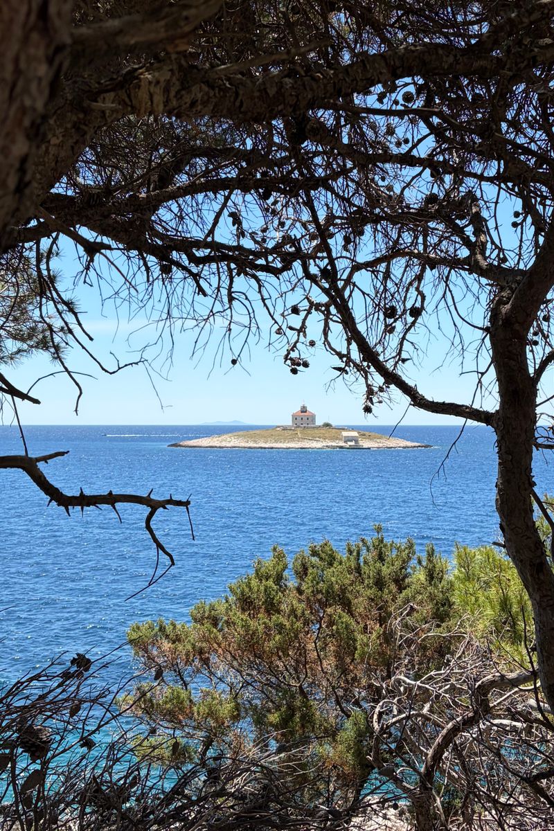 Capture of a picturesque Croatian island viewed through lush coastal trees.