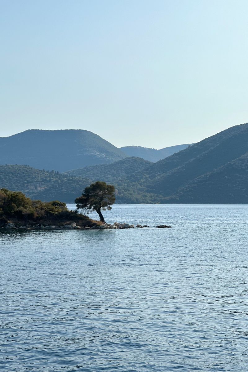 Serene coastal landscape with mountains and a lone tree on Lefkada Island, Greece.